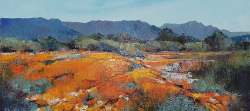 Spring near Clanwilliam | 2021 | Oil on Canvas | 36 x 51 cm